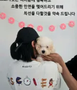 도로시펫 부산본점 분양후기 사진