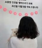 도로시펫 부산본점 분양후기 사진