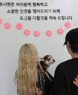도로시펫 부산본점 분양후기 사진