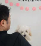 도로시펫 부산본점 분양후기 사진