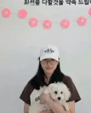 도로시펫 부산본점 분양후기 사진