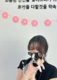 도로시펫 부산본점 분양후기 사진