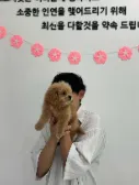 도로시펫 부산본점 분양후기 사진