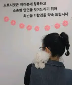 도로시펫 부산본점 분양후기 사진