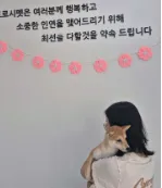 도로시펫 부산본점 분양후기 사진