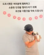 도로시펫 부산본점 분양후기 사진
