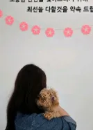 도로시펫 부산본점 분양후기 사진