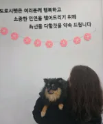 도로시펫 부산본점 분양후기 사진