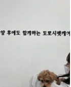 도로시펫 부산본점 분양후케어 사진