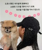 도로시펫 부산본점 분양후기 사진