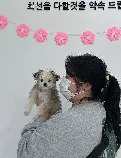 도로시펫 부산본점 분양후기 사진